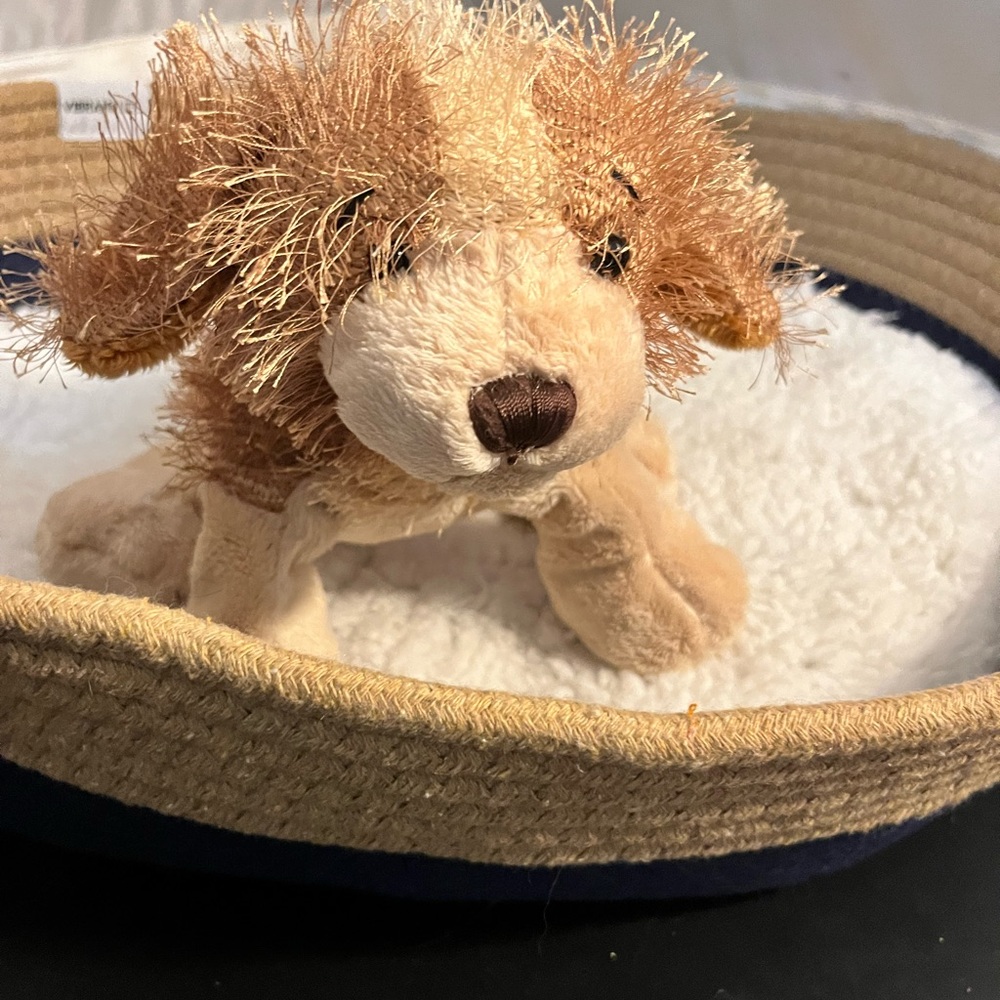 WebKinz lilkinz brown dog